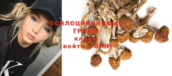 mdma Заволжск